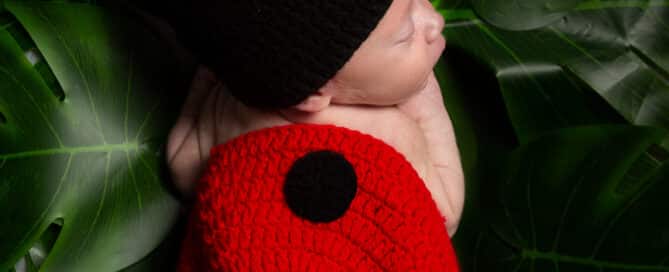 A newborn baby tucked up on their tummy dressed as a ladybird