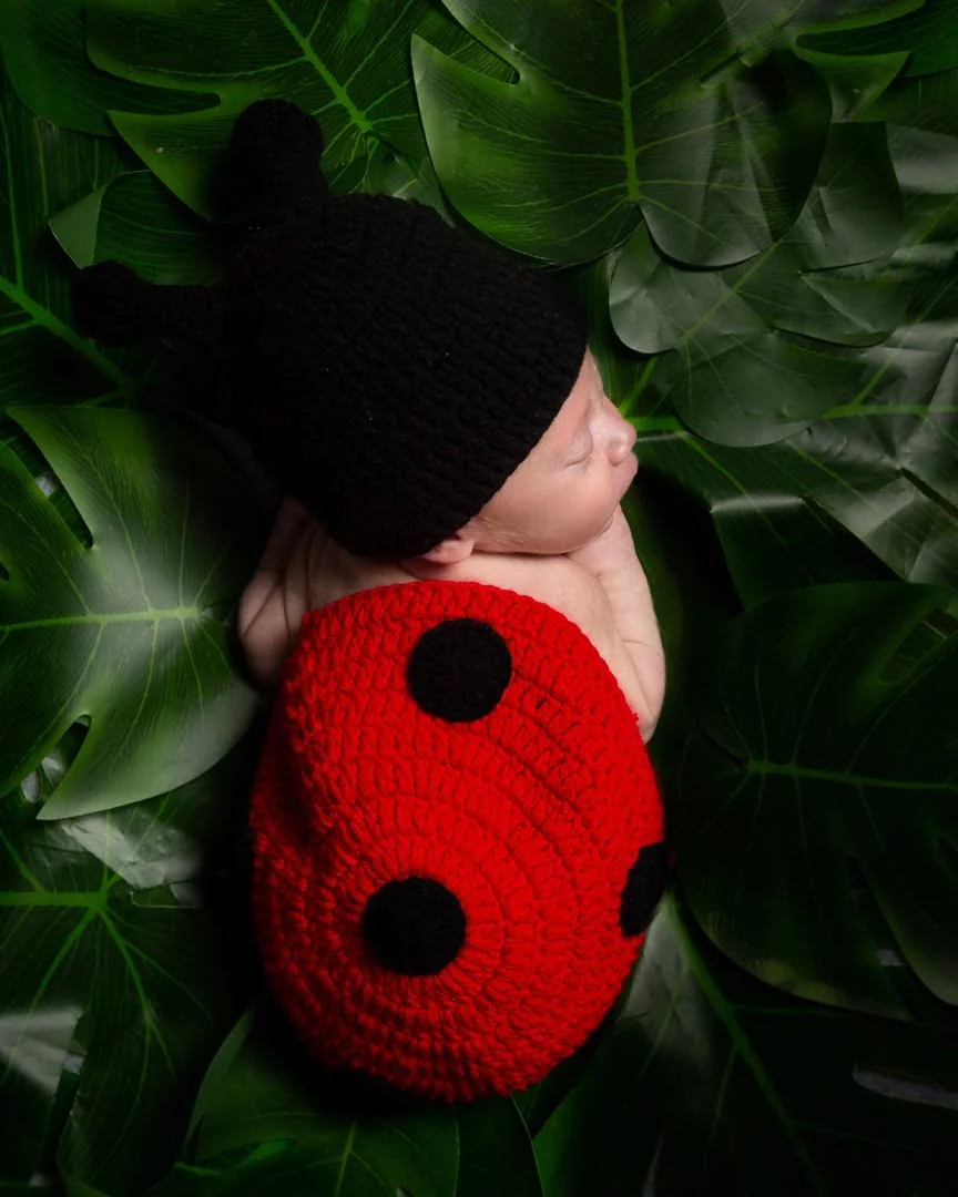 A newborn baby tucked up on their tummy dressed as a ladybird
