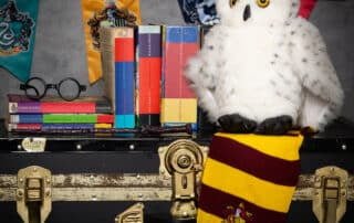 Harry Potter Themed Studio Prop Set