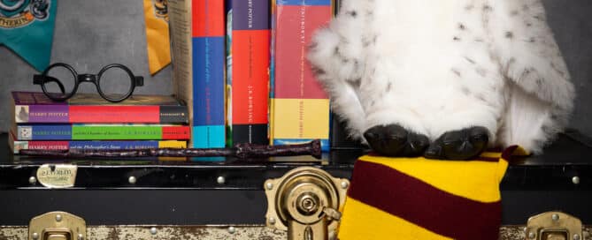 Harry Potter Themed Studio Prop Set
