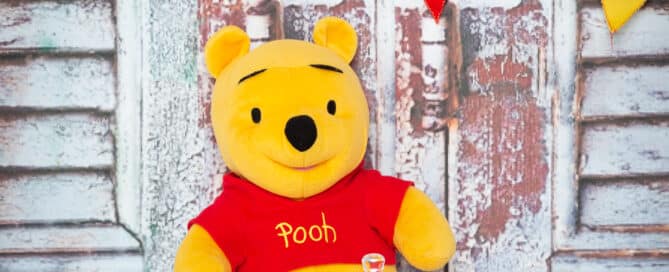 Winnie the pooh accessory set in the studio