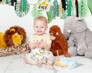 A little boy poses with a cake in front of some stuffed jungle animals at a jungle themed cake smash photo shoot