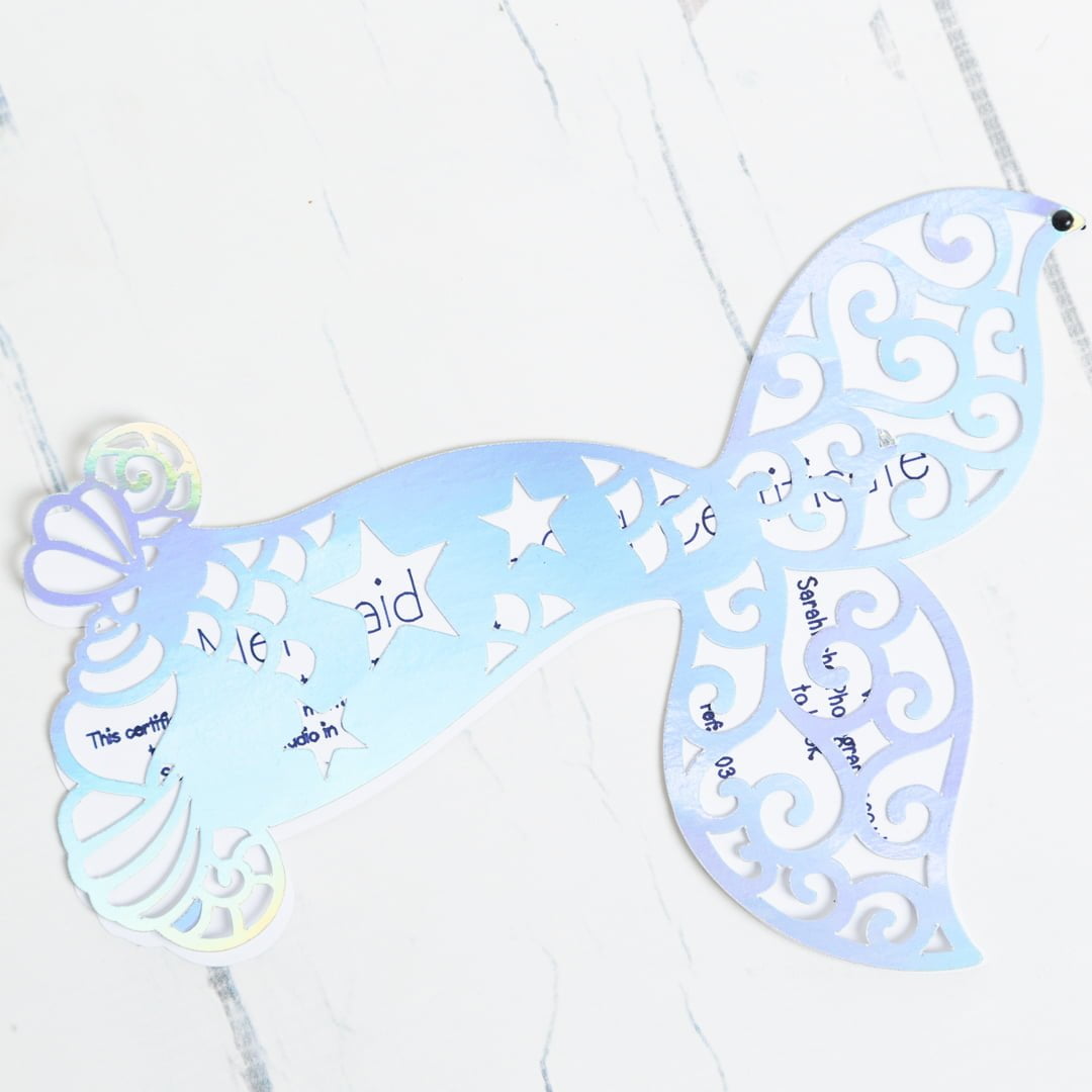 Mermaid Photo Shoot West Sussex