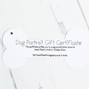 Dog Photo Shoot Gift Certificates