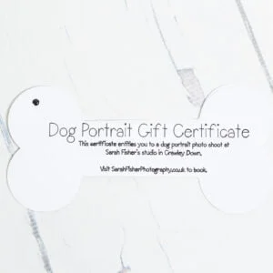 Dog Photography West Sussex Studio