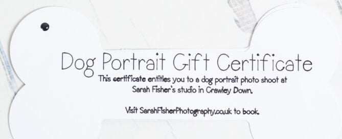 dog photo shoot gift certificate closed.