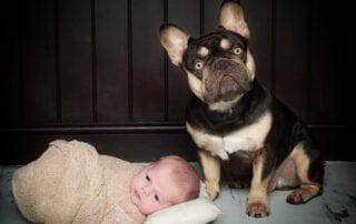 A newborn and a French Bulldog