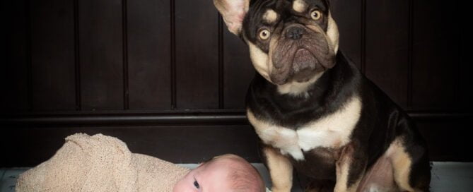 A newborn and a French Bulldog