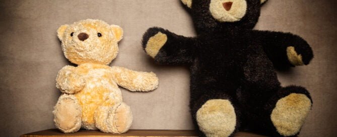Teddy shelf newborn prop