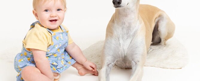 a little girl sits with her family pet - a tan greyhound