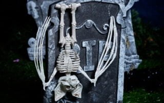 a collection of fake skeletons in a graveyard themed halloween photo shoot set