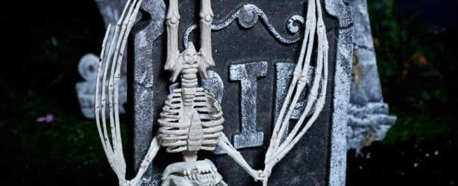 a collection of fake skeletons in a graveyard themed halloween photo shoot set