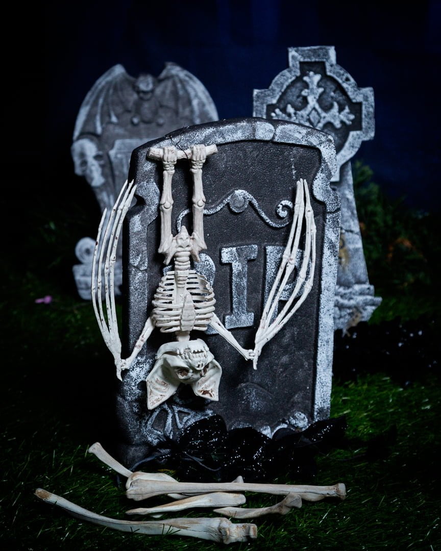 a collection of fake skeletons in a graveyard themed halloween photo shoot set