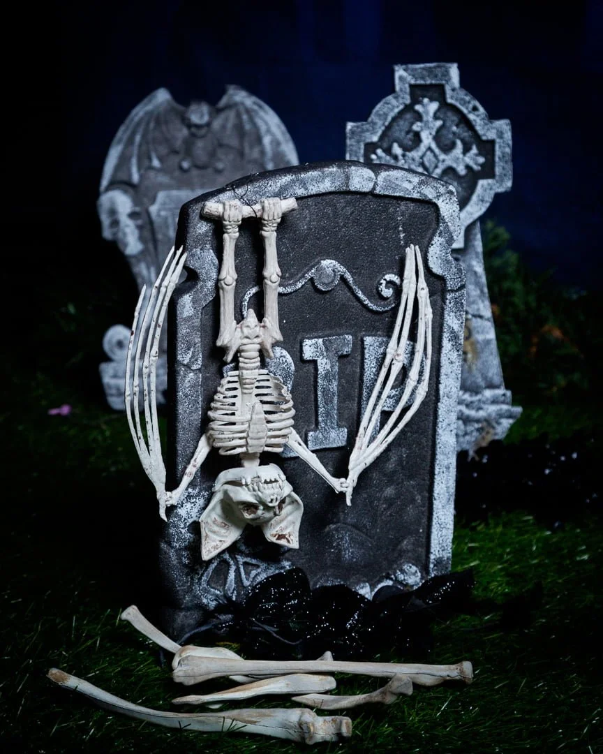 a collection of fake skeletons in a graveyard themed halloween photo shoot set