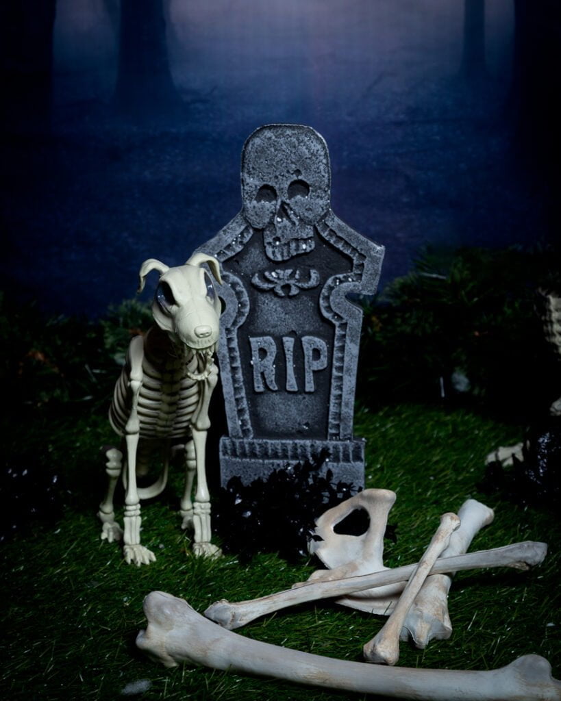 a fake dog skeleton in a graveyard themed halloween photo shoot set