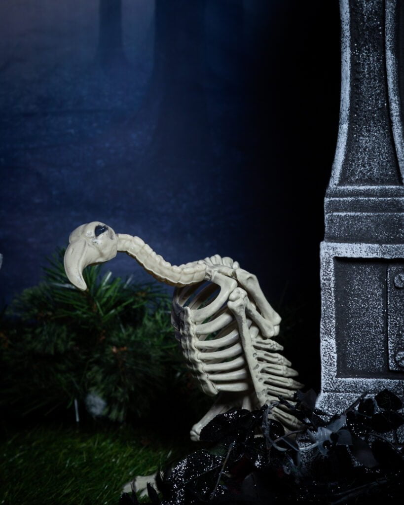 a fake vulture skeleton in a graveyard themed halloween photo shoot set