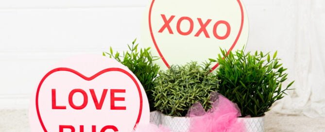 love heart themed props at a mother's day photo shoot