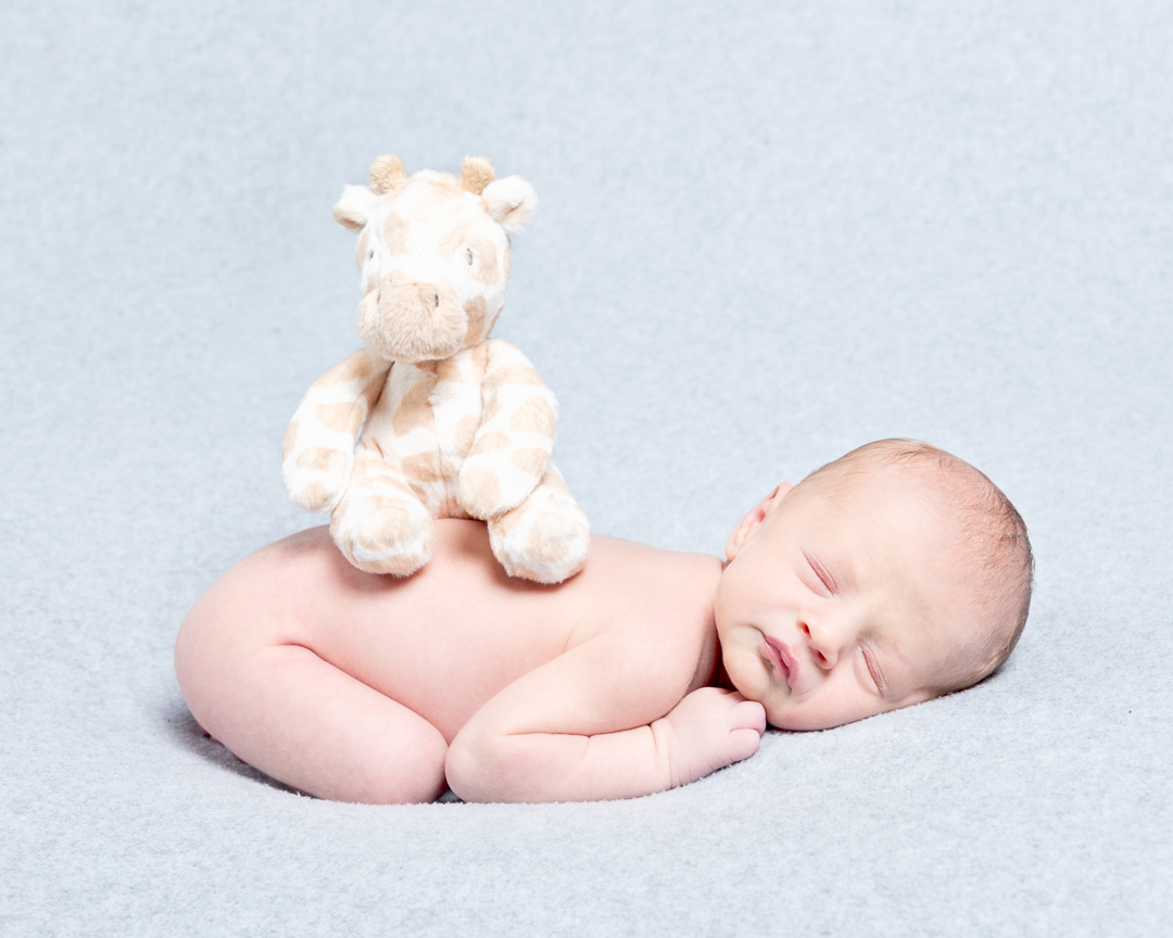 a newborn with their first soft toy sitting on their back