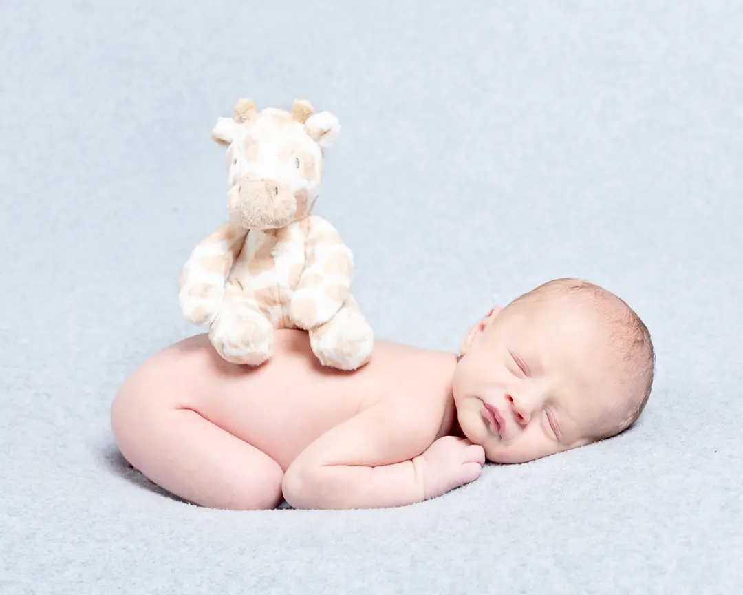 a newborn with their first soft toy sitting on their back