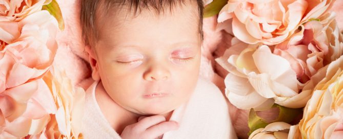 A Swaddled newborn in a nest of peach peony flowers