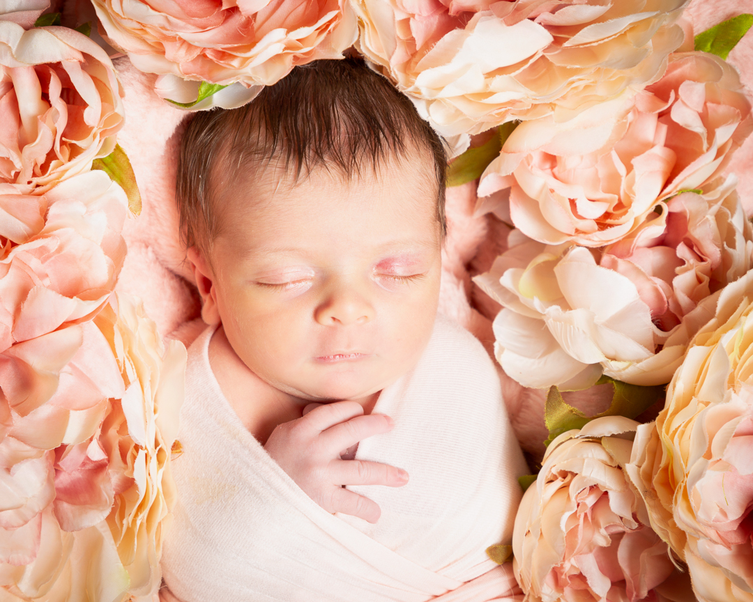 A Swaddled newborn in a nest of peach peony flowers