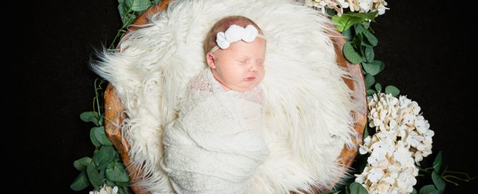 a sleeping newborn in my wooden bowl prop with white hydrangeas