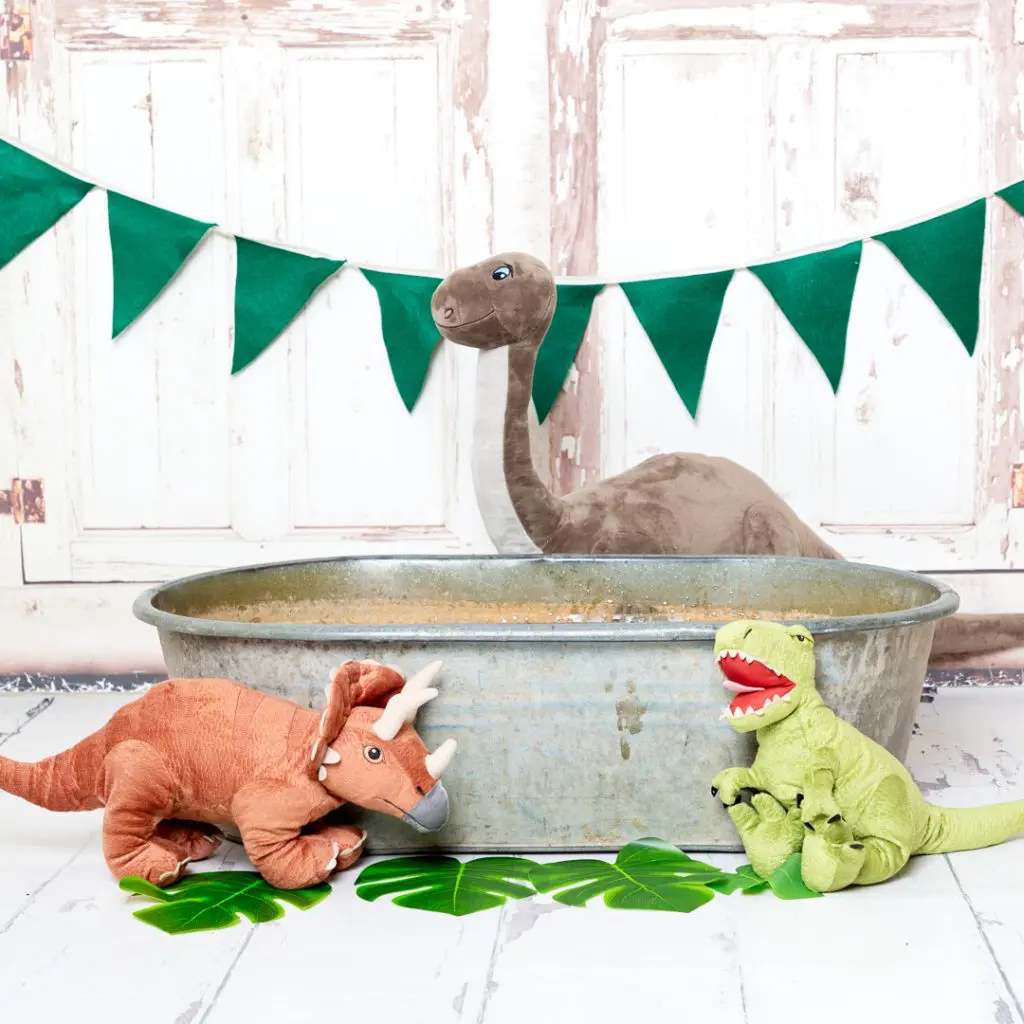 dinosaur Studio Prop Set