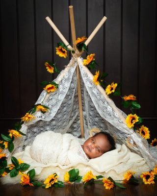 a newborn sleeping in a white lace tent surrounded by sunflowers