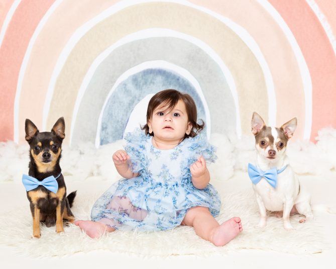 a baby poses with two dogs against a rainbow backdrop