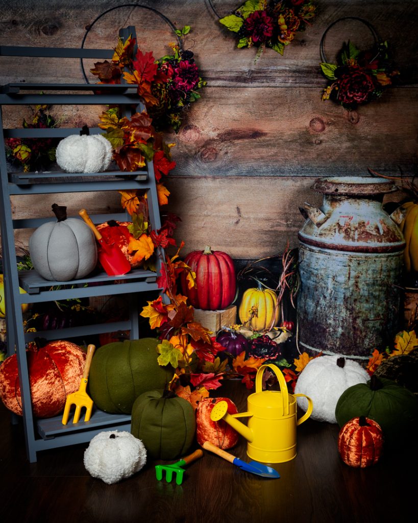 Pumpkin Patch Mini Photo Shoots West Sussex