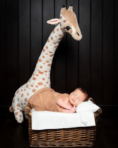 a newborn sleeping on a basket with a tall toy giraffe standing behind them