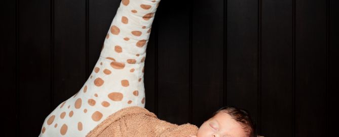 a newborn sleeping on a basket with a tall toy giraffe standing behind them