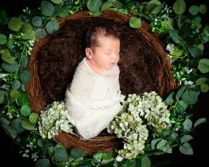 a newborn swaddled in white sleeping in a nest prop surrounded by greenery