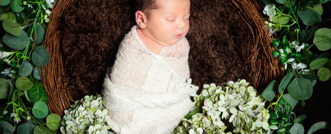 a newborn swaddled in white sleeping in a nest prop surrounded by greenery