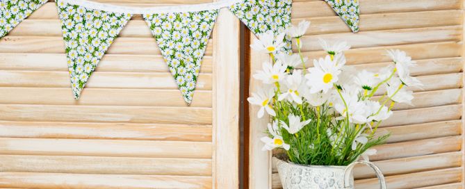 daisy themed photo shoot accessories