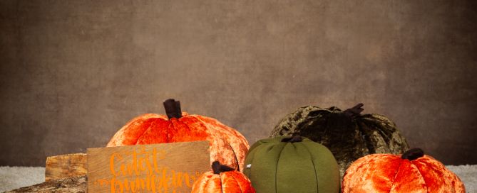 Pumpkin Studio Accessory Set