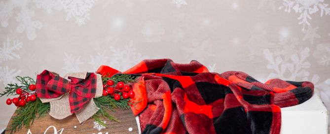a mini plaid themed christmas prop set at my studio