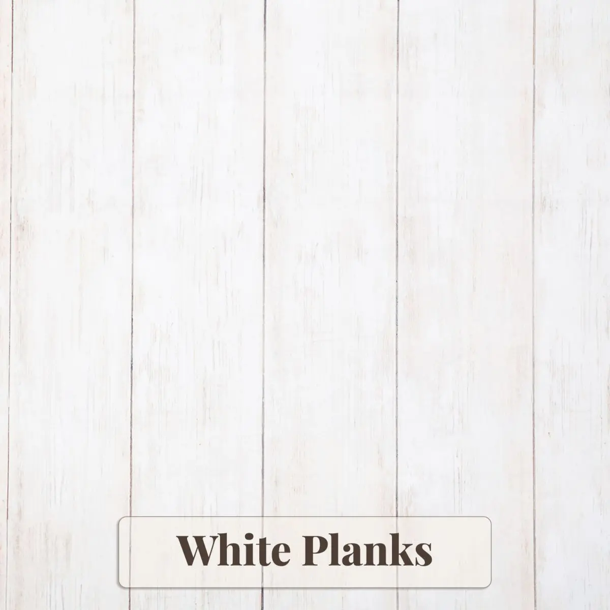White Plank Backdrop