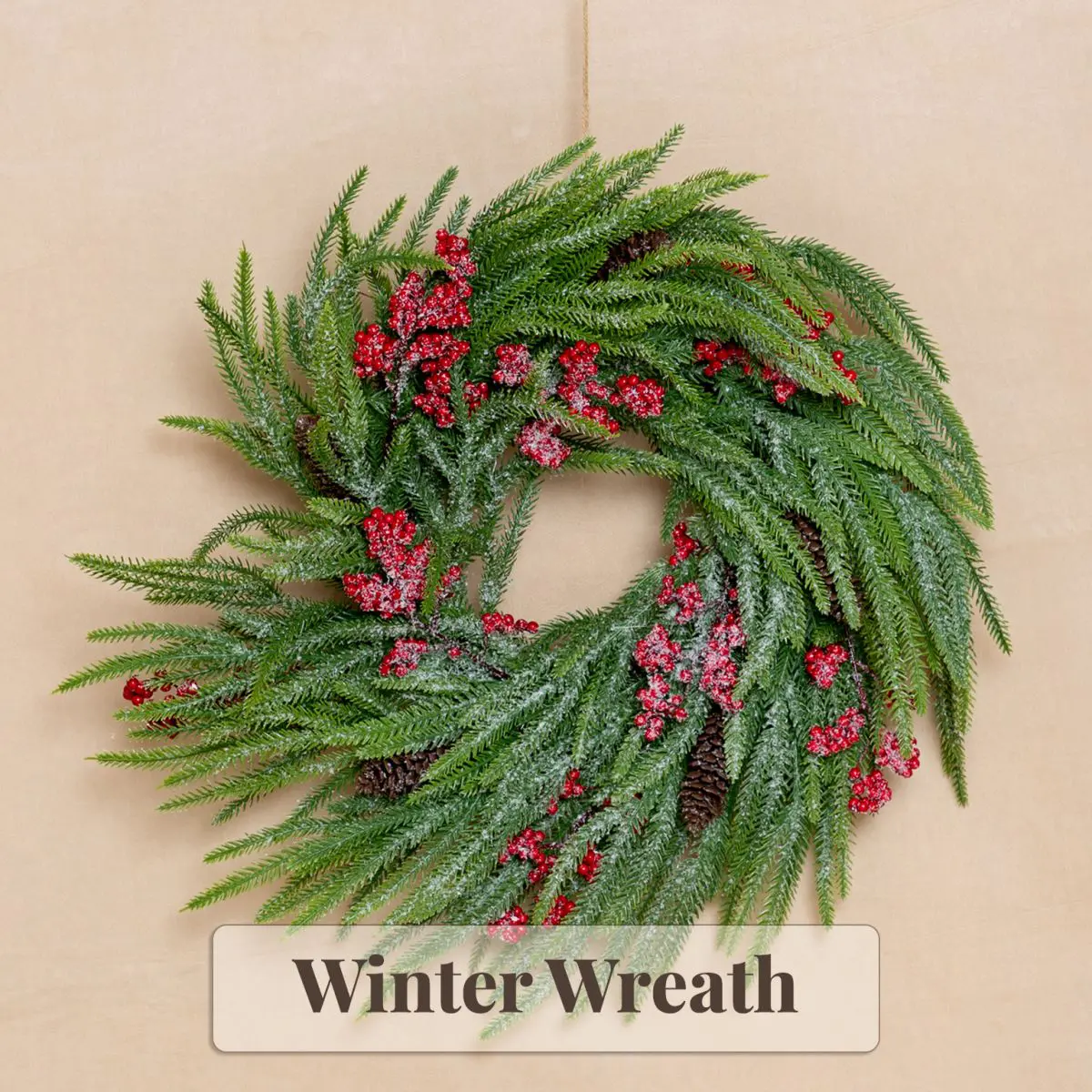 Winter Wreath Backdrop