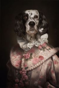 A digitally altered photograph of a black and white English Setter dog dressed as a lady in a pink period dress