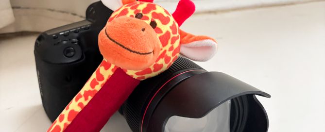 a camera and squeaky toy