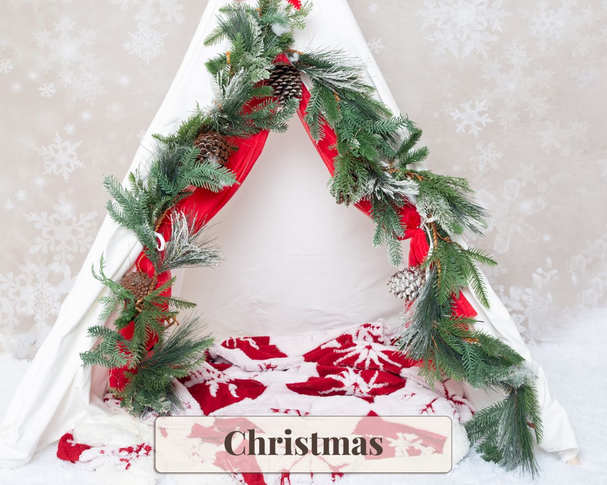 Christmas Themed Accessory Set Photo Studio West Sussex Christmas Themed Accessory Set Photo Studio West Sussex