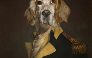 an English setter digital image dressed as an admiral