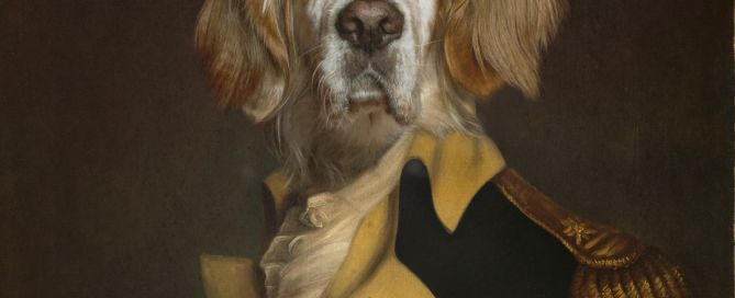 an English setter digital image dressed as an admiral
