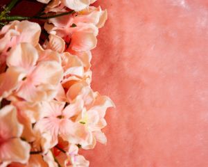 a peach fluffy blanket with peach hydrangea blooms