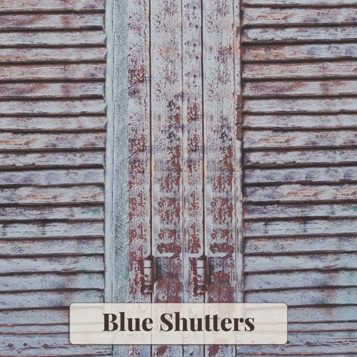 Blue Shutters Backdrop