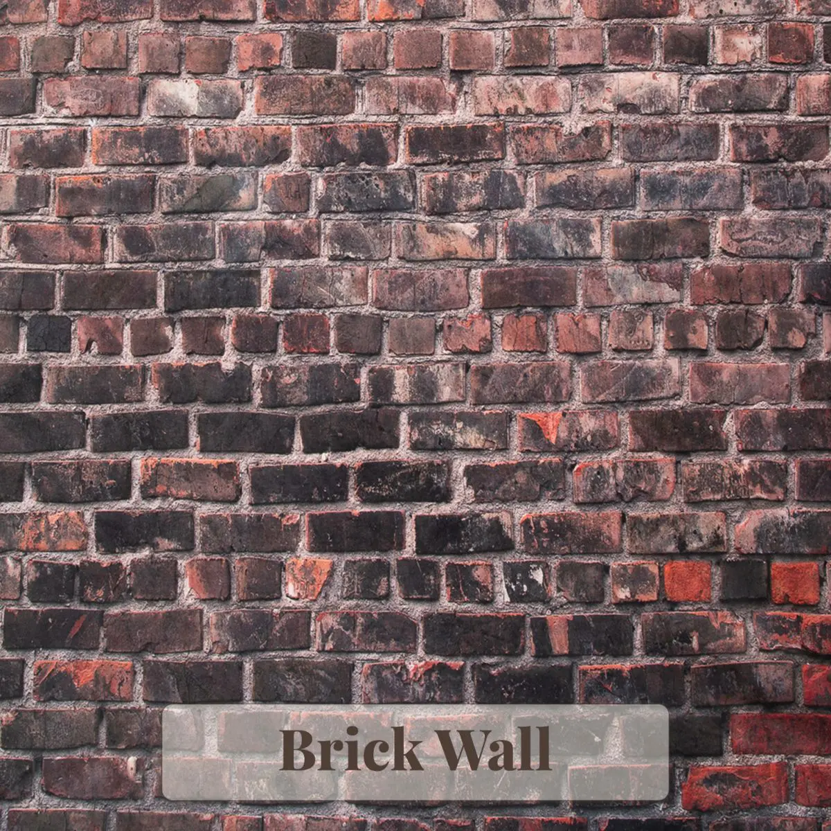 Brick Wall Backdrop