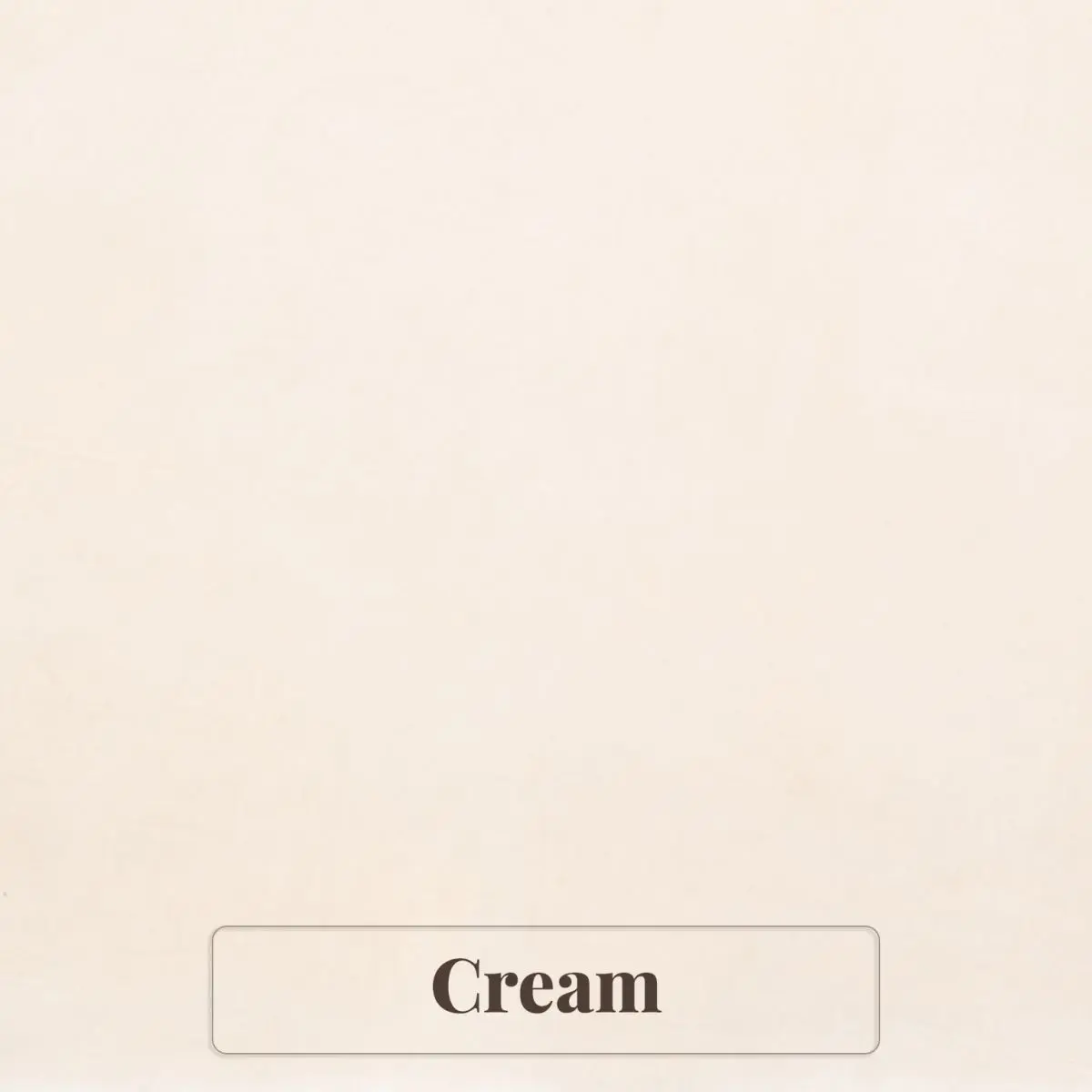 Cream Backdrop