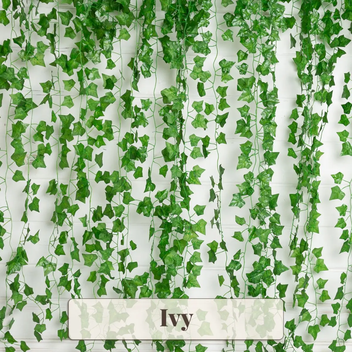 Ivy Backdrop