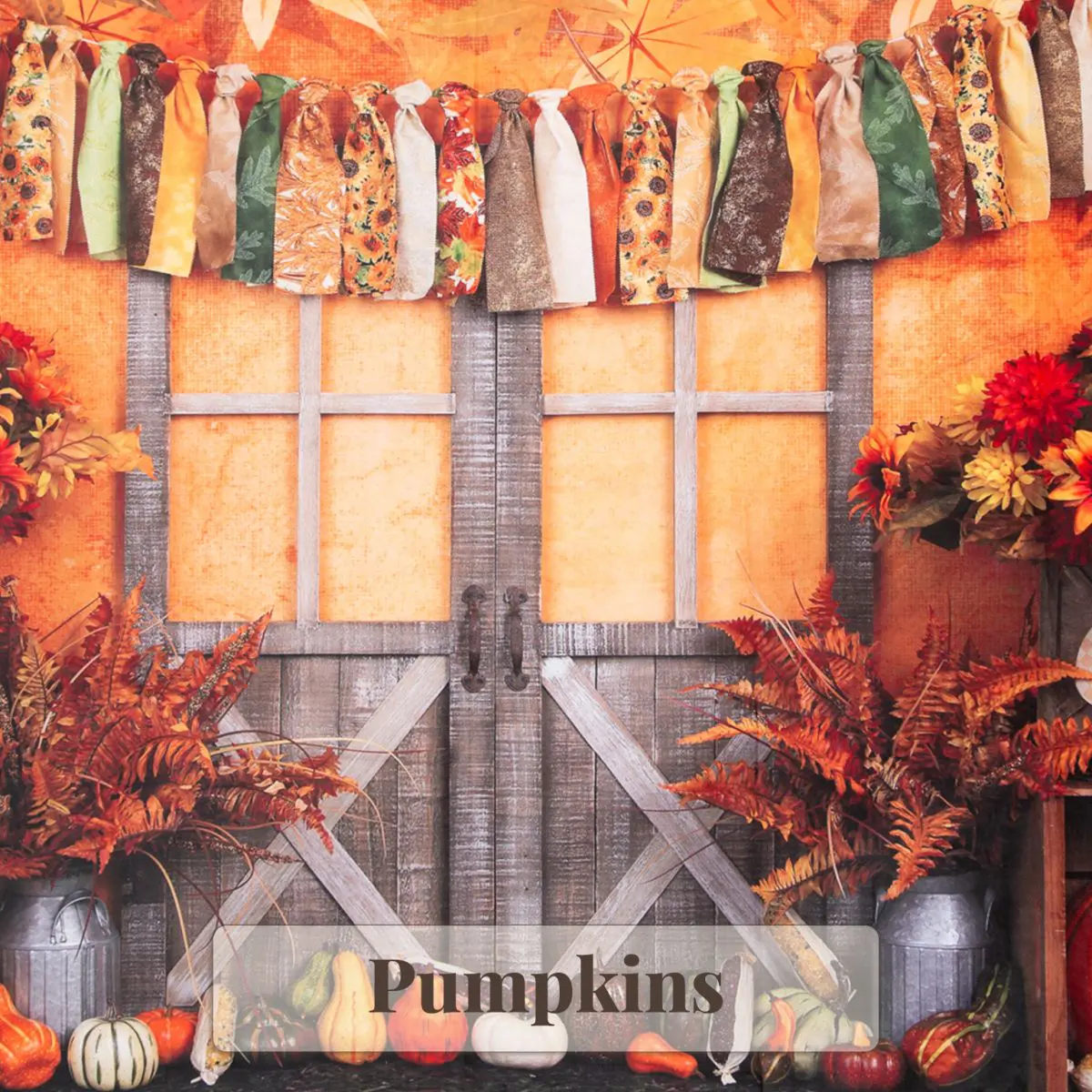 Pumpkins Backdrop